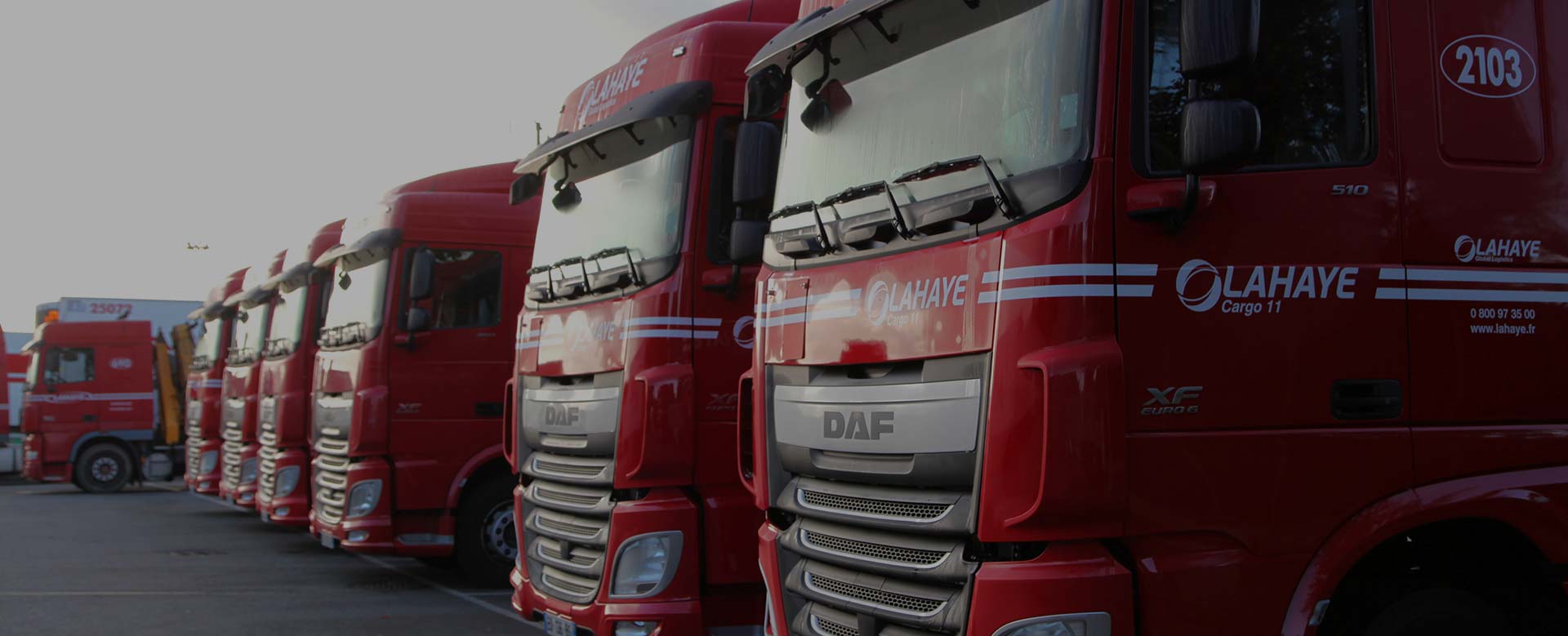 Lahaye Global Logistics Meassagerie Palettisee Header
