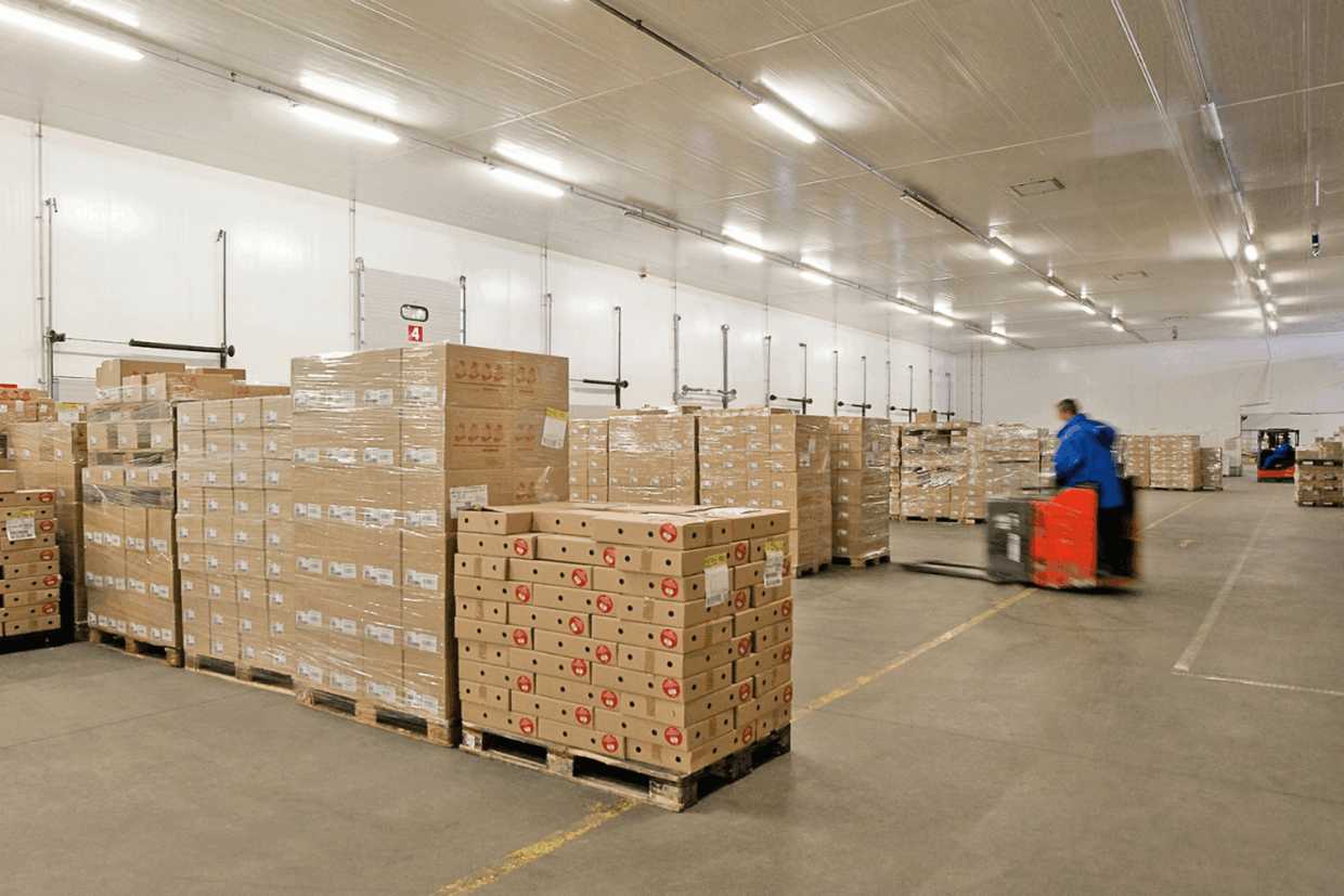 massification-lahaye